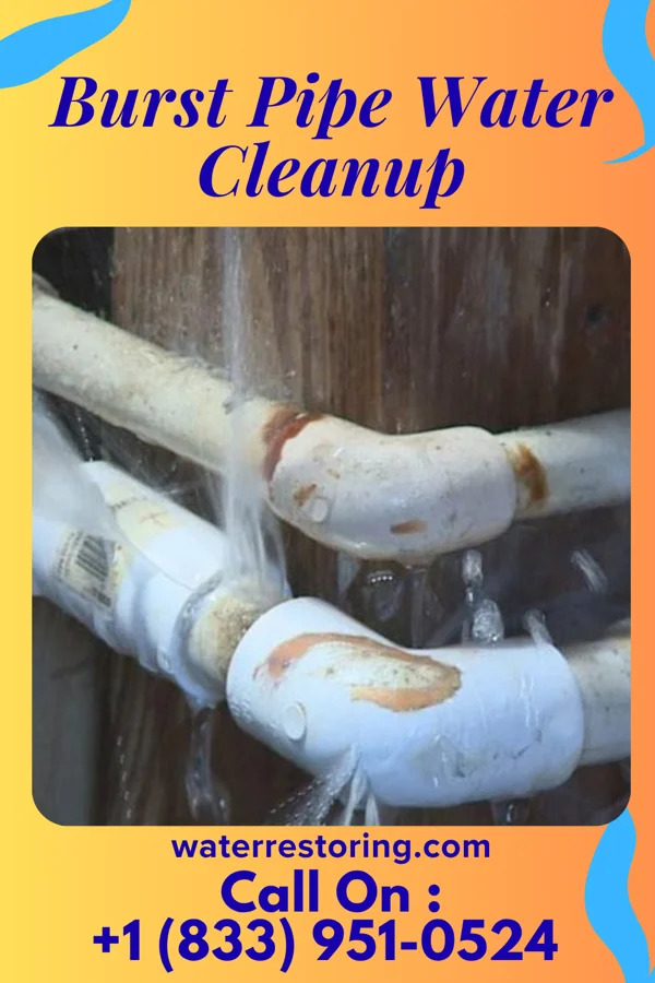 Burst Pipe Water Cleanup in Pacific, MO