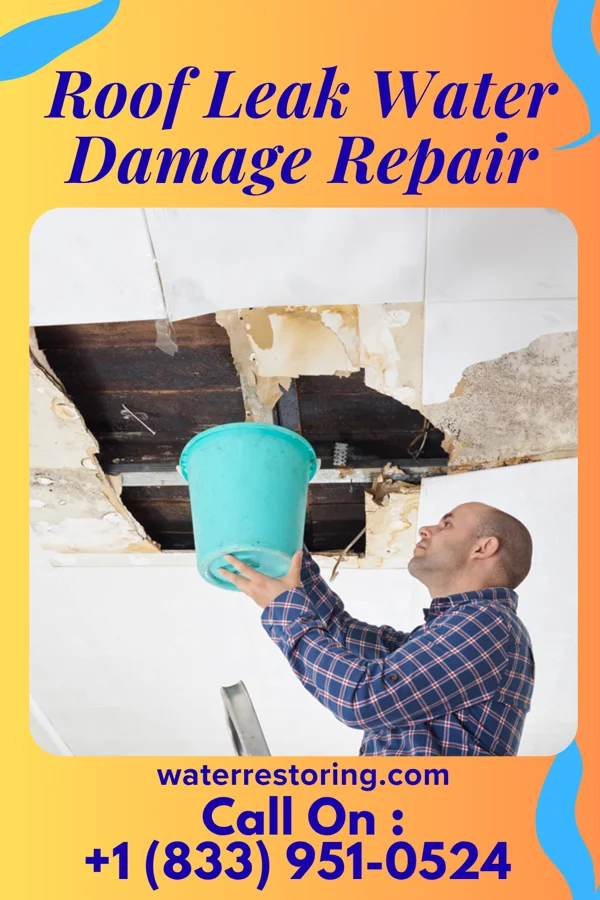 Roof Leak Water Damage Repair in Pacific, MO