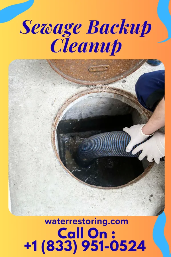 Sewage Backup Cleanup in Pacific, MO